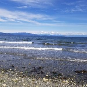 Meet your Posher, Rose